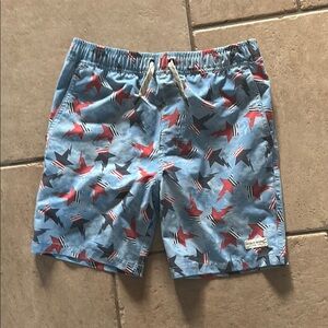 Blue and Red Patterned Swim Shorts
